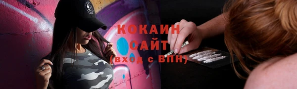 гашик Лиски
