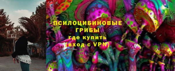 не бодяженный Чегем