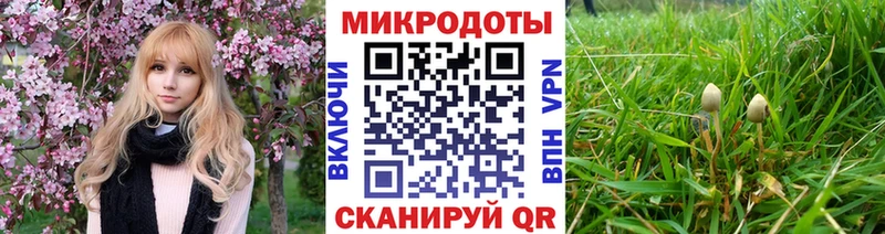 Купить где  Кольчугино  Галлюциногенные грибы Magic Shrooms 