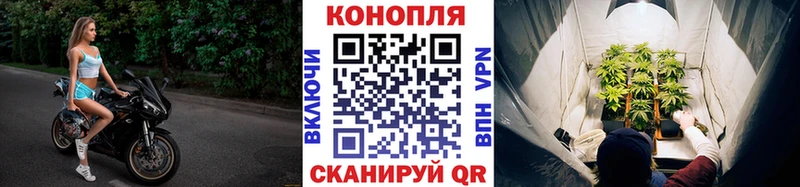 Купить Кольчугино Канабис White Widow